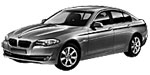 BMW F10 P3677 Fault Code